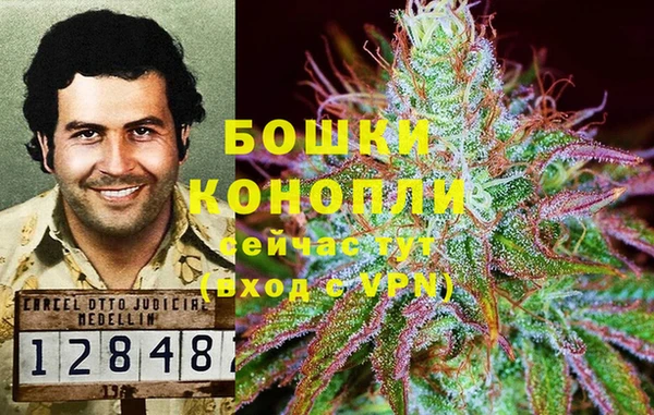 мет Алзамай