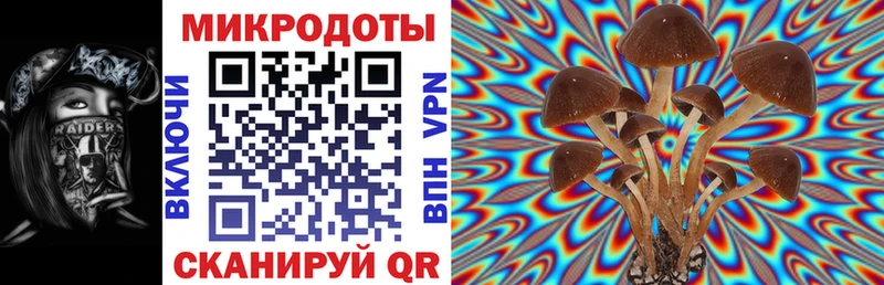 как найти наркотики  Билибино  Галлюциногенные грибы Psilocybine cubensis 